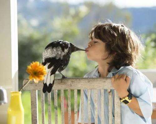 使用照片回忆漂亮的句子1