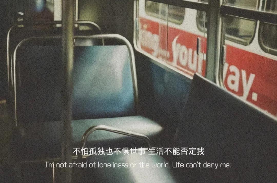 惊人而美丽但利基的句子