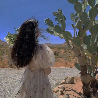 简单而惊人的快乐句子