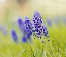 奇怪的快乐句子1