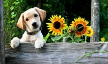 十二月的说说心情短语