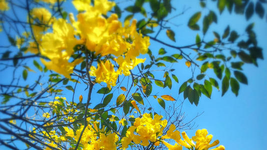 不快乐的朋友的句子2