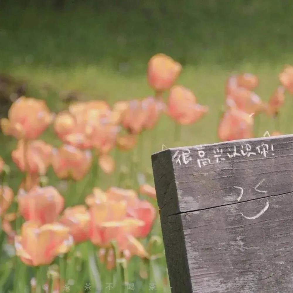 给自己的句子给自己的句子简单明了2