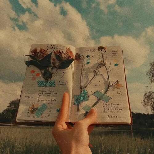 句子在12月2日发送给Moments