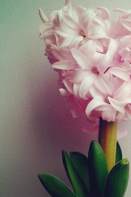 温暖的阳光快乐句子