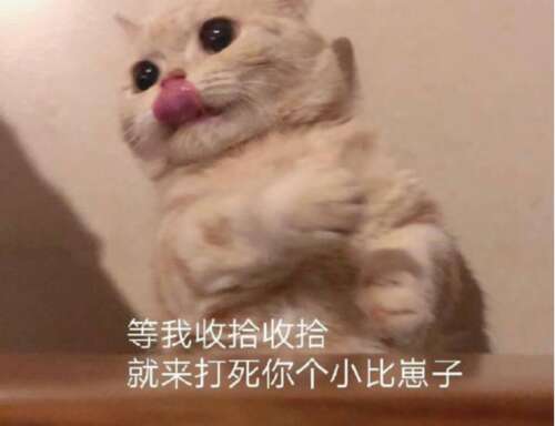 日本社会动物写的川柳诗