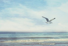 在朋友圈中发送精美的快乐句子