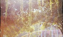 失恋了要开心的句子