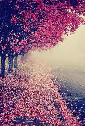 半夜里不开心的情绪句子2