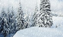 冬天早上飘雪的句