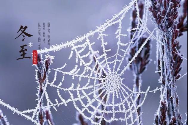 关于冬至的句子1