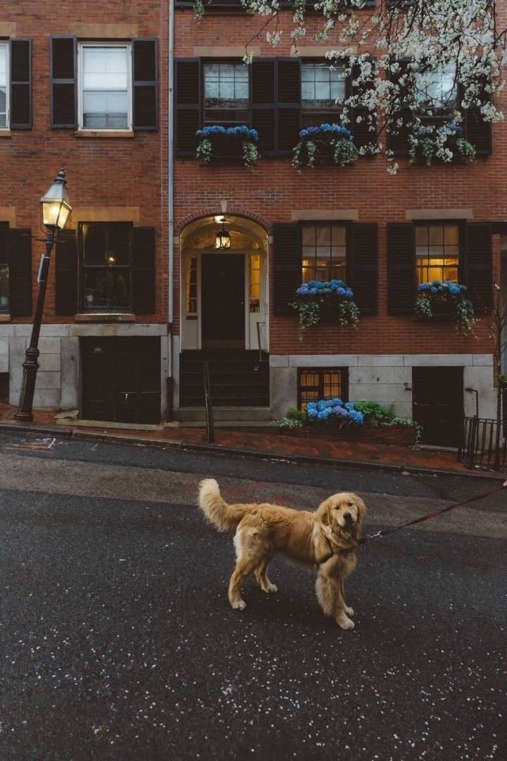 别人感动的句子