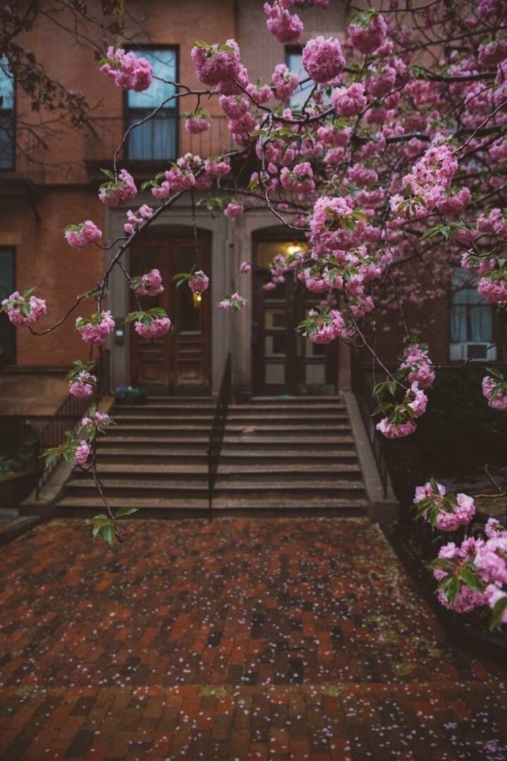 两个感人的经文2