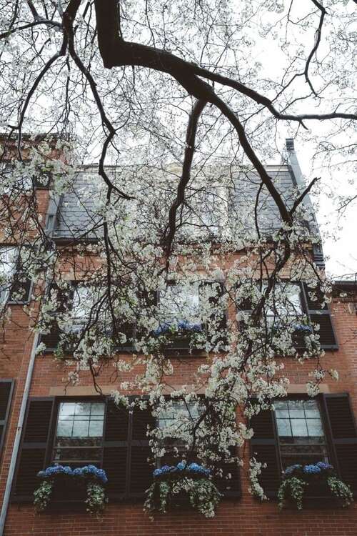 两个动人的经文1