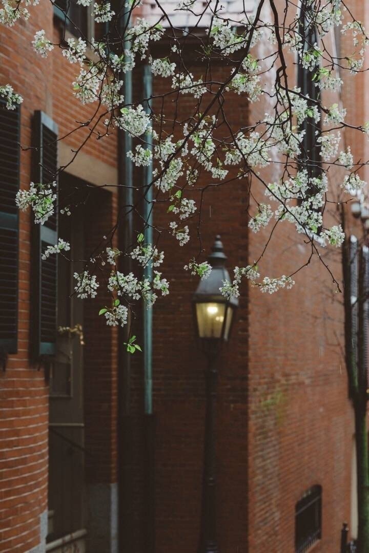 两节感人的经文