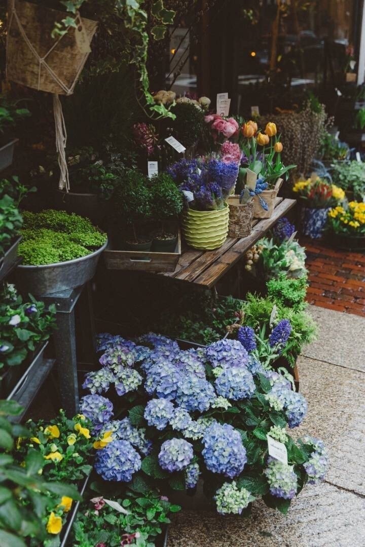 互相帮助移动句子1