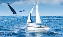 拥抱梦想激励的励志句子