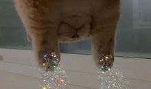 三观超正的温柔文案