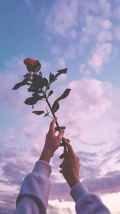 15.一切都只是一个通行证的烟雾。当烟雾分散时，我们将不存在。