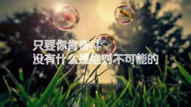 2021年新的早期安心1