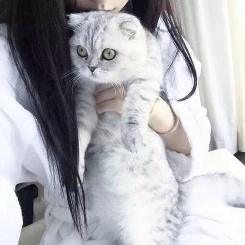 描述心烦意乱的句子