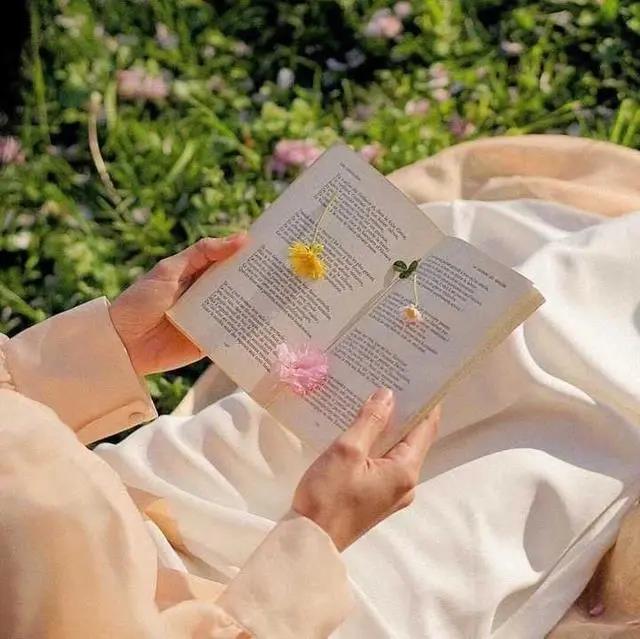 14，我希望自己有一个稳定的，无处不在，更活泼，更优秀。