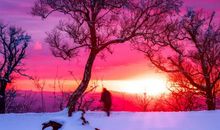 大雪的说说心情短语