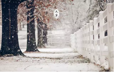 大冷，温暖的心脏句子2