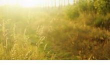 一场雷雨让人心烦句子