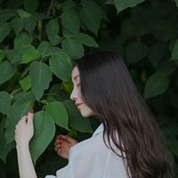 描述一个心烦意乱和安静的句子来谈论心情