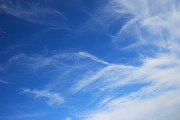 微信顶引起的句子2