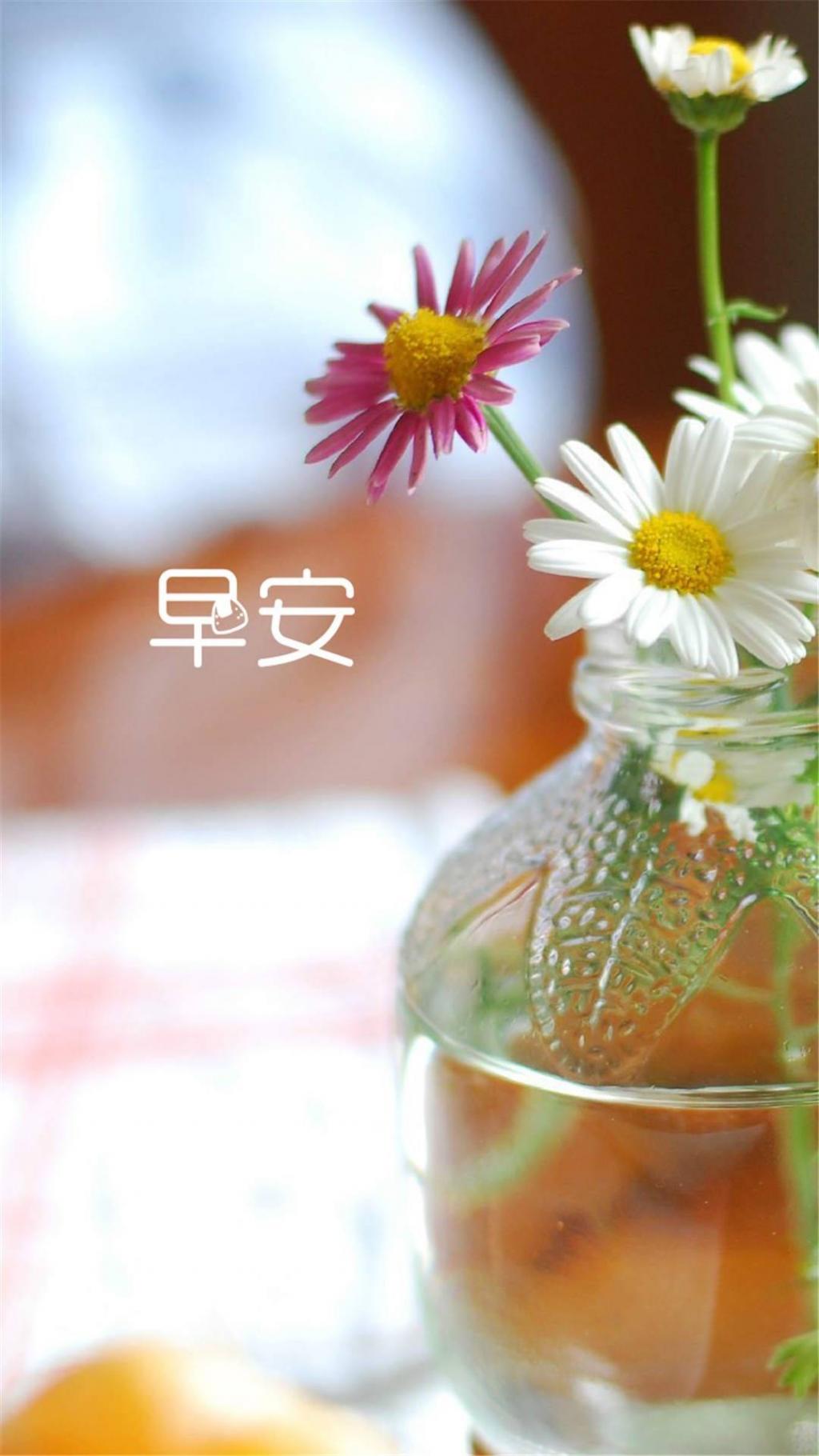 十二月，清晨句子