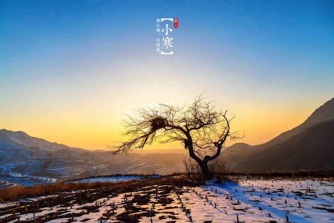 2020小雅奇幻想1