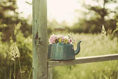 精美和美丽的句子告诉心情1