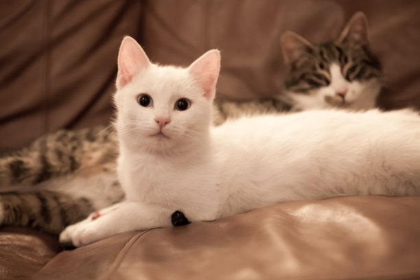 小红色书可爱个性签名