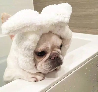 15，你不能漂亮，你不能爱连衣裙，甚至变胖。你不能出色，你不能进入，甚至你不能聪明。但我不能。