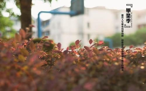 一个心烦的悲伤句子谈到情绪1