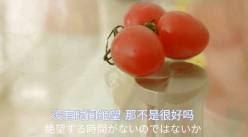 15.所有成功背后都是持久的;每个人之前的所有风景都是愚蠢的背部。只要你愿意，并坚持下去，有一天，你就会生活在你最喜欢的外观！