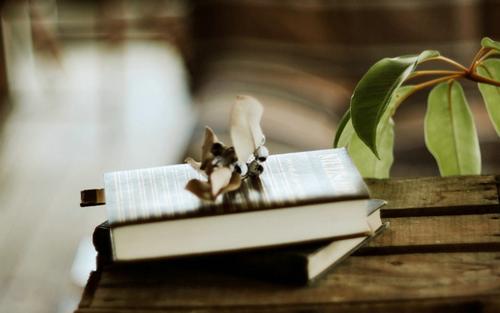 15.醉酒过于熟知的葡萄酒，爱情深。只有在红色灰尘之后，您只能体验红尘的快乐。得到它并失去，它也将被推迟到收获。这种骑行流入并流入雪地。如果你得到花，你会错过水。