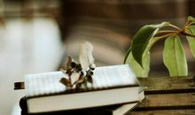 晚上心烦意乱的句子