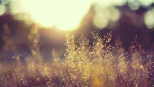 肿瘤欢乐儿子句子1