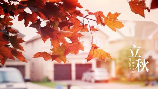 当你心烦意乱时，选择一个沉默句子1