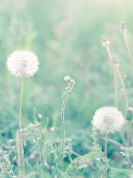 古代人讲故障句子