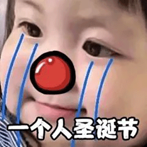 圣诞节前夕有趣的句子1