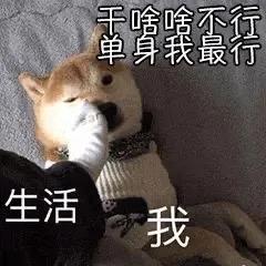 20.如果你不这样做，你会寄苹果，圣诞节，没有人陪同圣诞节。