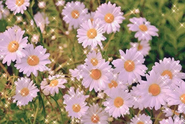 短但令人惊叹，美丽的句子