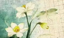 12月份适合发朋友圈的可爱小句