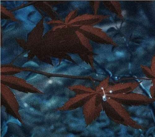 你心灵的高品质副本