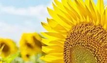 周末简单心情说说