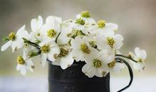 超唯美暖心的短句说说